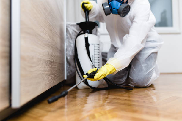 Best Pest Control Near Me  in Naples, FL