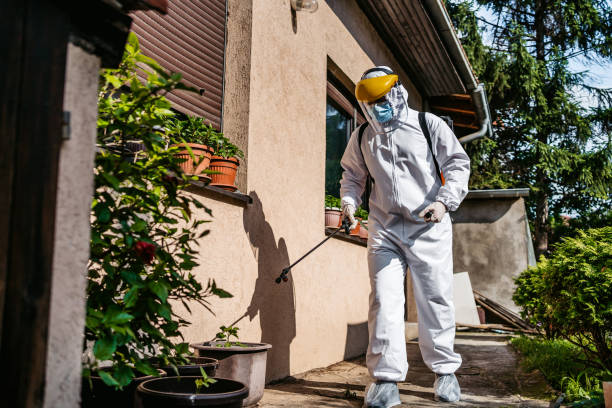 Best Residential Pest Control  in Naples, FL
