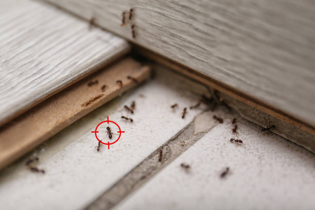Best Cockroach Control Services  in Naples, FL