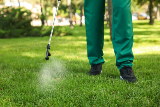 Best Bird Control  in Naples, FL