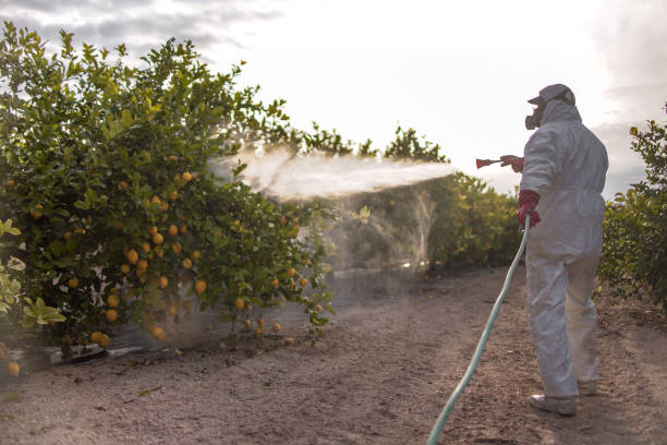 Best Affordable Pest Control Services  in Naples, FL