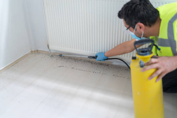 Naples, FL Pest Control Company